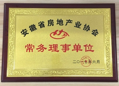 安徽省房地产业协会领导授牌 乐泽集团当选常务理事单位